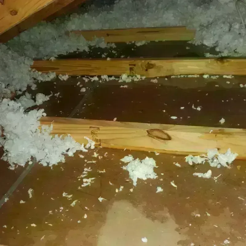 Attic Water Damage in Pioneer, OH