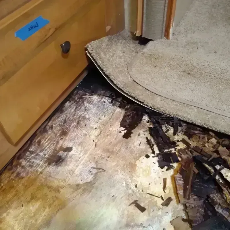 Wood Floor Water Damage in Pioneer, OH